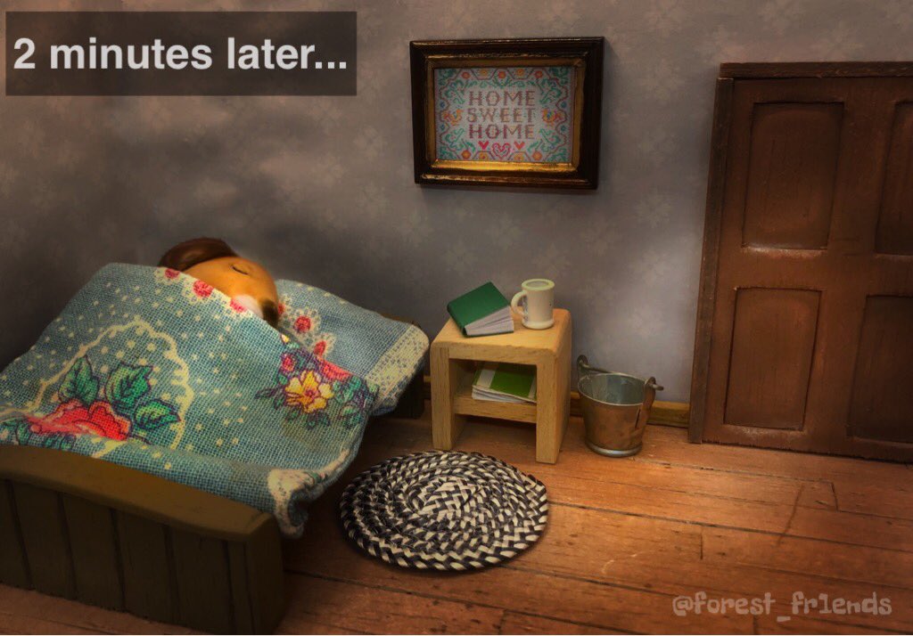 forest_fr1ends's tweet image. 