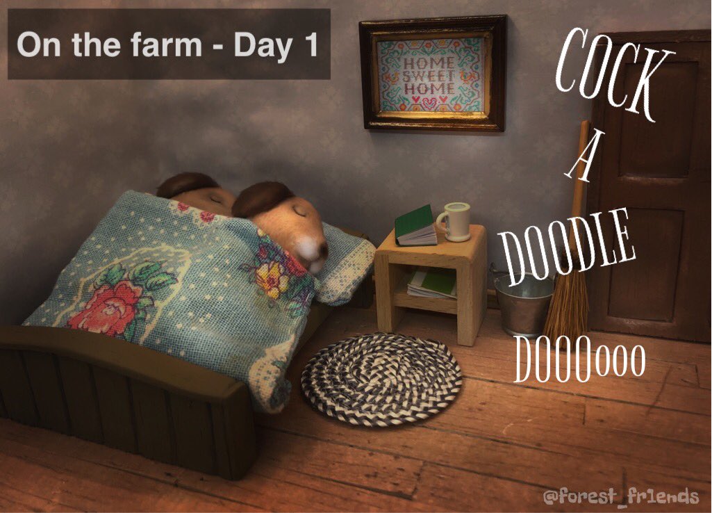 forest_fr1ends's tweet image. 