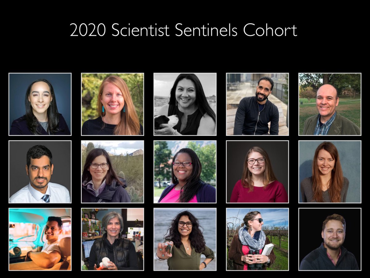 A composite image on a black background of headshots of the fifteen new Scientist Sentinels in three rows of five, with many different appearances and backgrounds, but all smiling. Header reads '2020 Scientist Sentinels Cohort.' Some of the people are holding objects representing their work, such as binoculars or mussel shells. Some are outside, while others have backdrops or are in their offices.