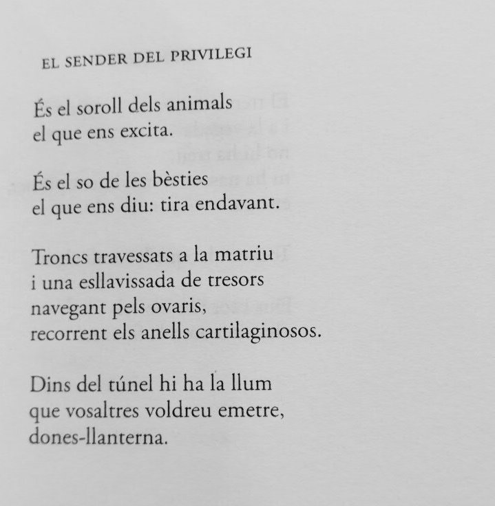 annagual's tweet photo. (3) I com que mai n'hi ha prou, de poesia, més poemes d' #AltresSemideus, ara amb imatges que heu anat compartint per xarxes 💕 Voteu aquí: https://t.co/1BXANh7gJA (és molt fàcil!).
Fem que la poesia guanyi 🙏🏼 https://t.co/9W914UvtZ7 https://t.co/SDTlUXSrpo