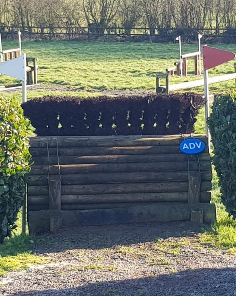 Today definitely felt like 'dropping' into Spring 🏂🤞🙏☀️ #keepitcoming #crosscountryschooling  🌿☘🌱🍃