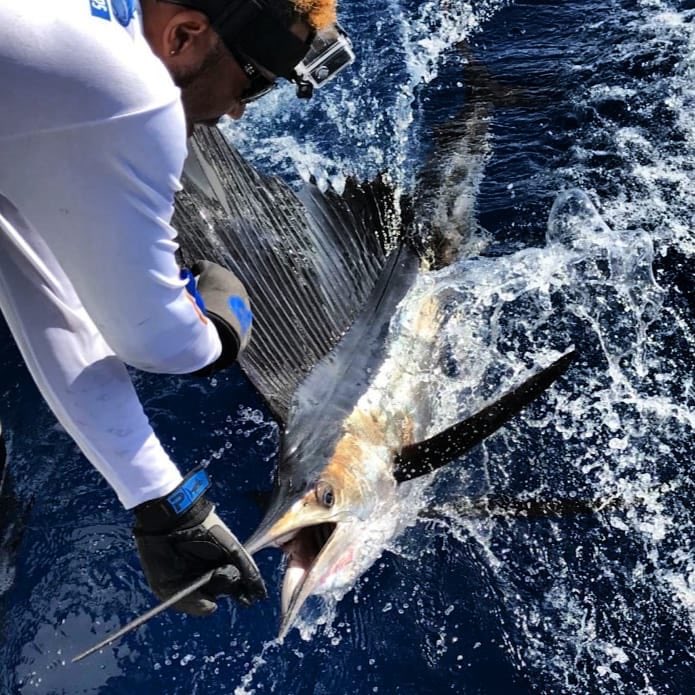 boatsetterfish's tweet photo. With Tanzania on the map, we’re now partnered with fishing captains, outfitters, guides, and lodges in 35 countries! 

Easy booking for your next fishing trip @ https://t.co/QoIUnt4PDe. 

🌎🎣🤘

#fishtheworld // #beafisher // #fisherguiding https://t.co/4u5YS4a6DZ
