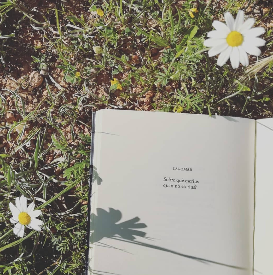 annagual's tweet photo. (4) Sobre què escrius /
quan no escrius?
Foto preciosa de @NuDomenech d'un poema d'#AltresSemideus.
Voteu aquí: https://t.co/1BXANh7gJA
Fem que la poesia guanyi 🙏🏼 https://t.co/v9eQtaxTra
