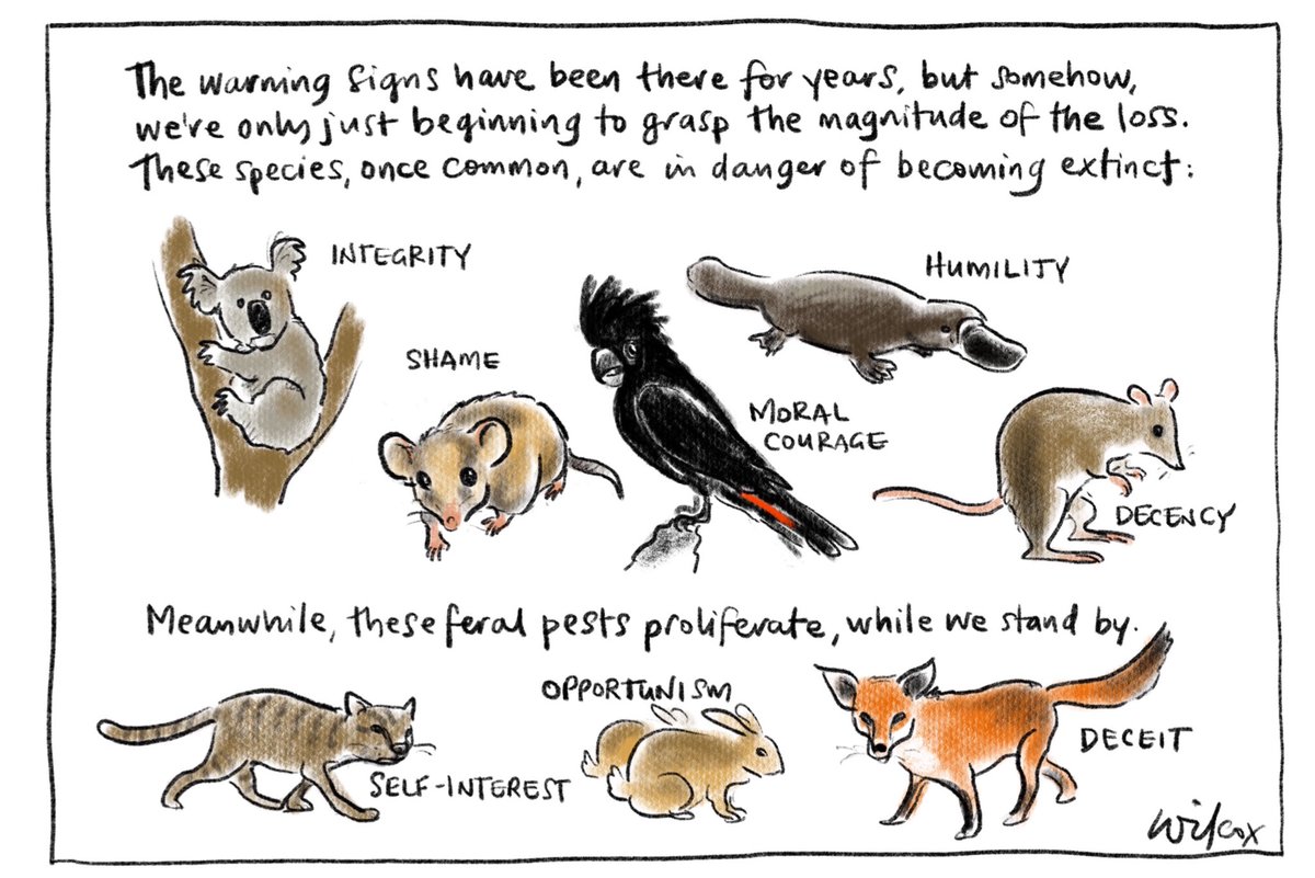 The Cathy Wilcox on Twitter: 