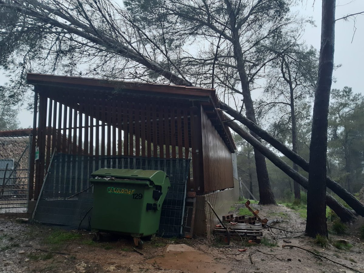 ramaderescat's tweet photo. Els primers efectes del temporal #Gloria que no només afecten carreteres, també la vida quotidiana al món rural.
#sompastores https://t.co/0JuzdfAdWE