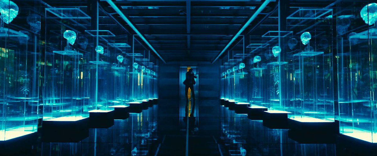 OnePerfectShot's tweet photo. JOHN WICK: CHAPTER 3 (2019)

Cinematography by Dan Laustsen
Directed by Chad Stahelski
Read our interview with the director: https://t.co/RAOjKleOi0 https://t.co/rn0cvzdV70