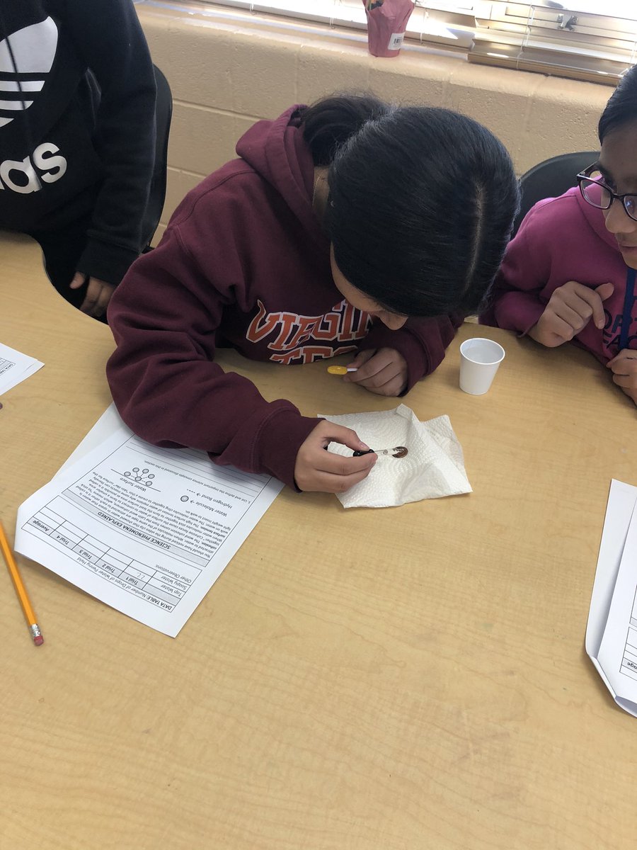 KNovITC's tweet photo. This afternoon my classroom was filled with that buzz...when the kids are curious and don’t even realize they are learning!  #MayfieldISproud #science6 #water #surfacetension https://t.co/tnQR29jGVf