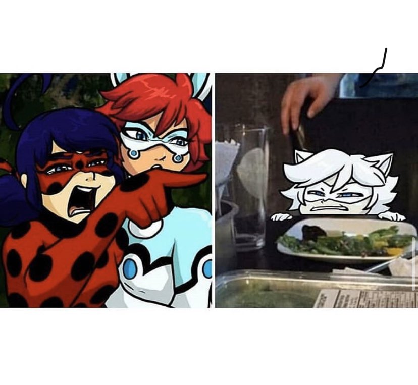 Ladybug tweet media