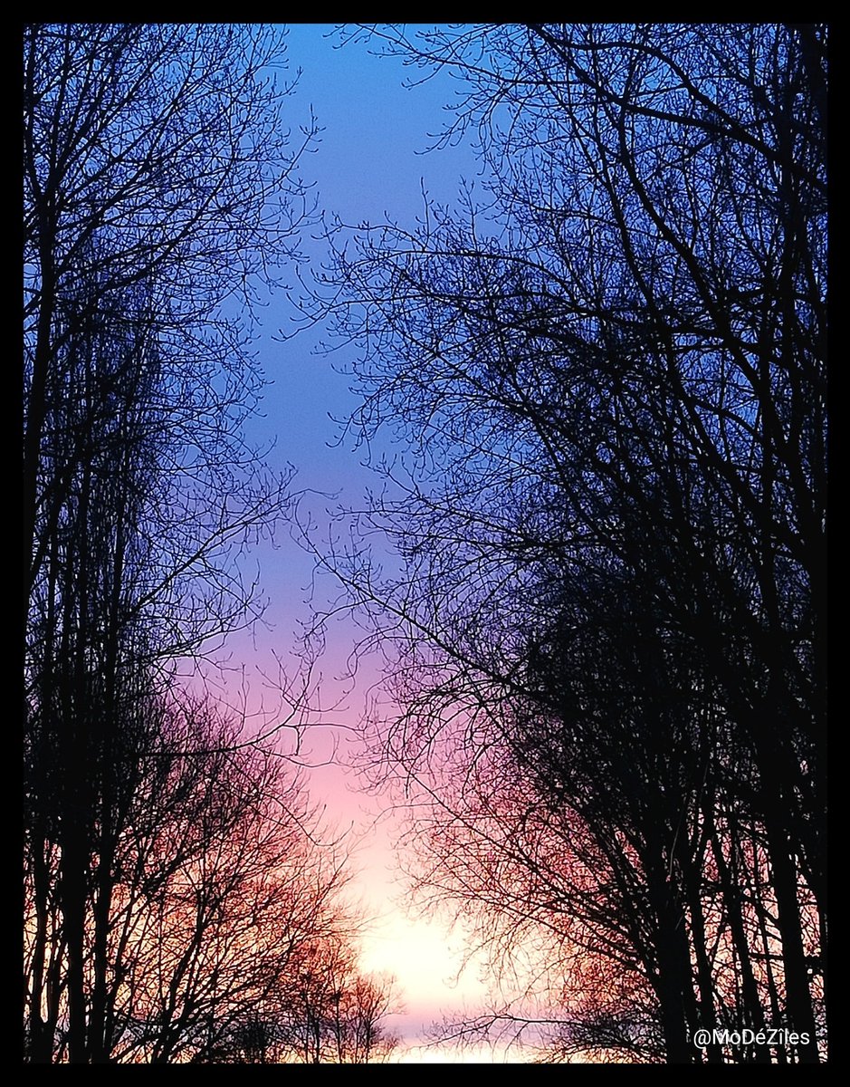 MoDeZiles's tweet photo. √--- Un matin Bigouden --- √

#emojibzh #paysbigouden #fierdetrebigouden #finisteresud #Bretagne #finisteretourisme #bretagnetourisme #plovan https://t.co/8GuAb7vd6m