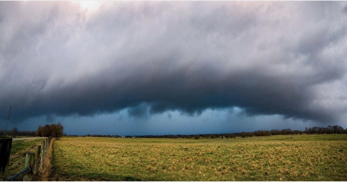 Your Take tweet media