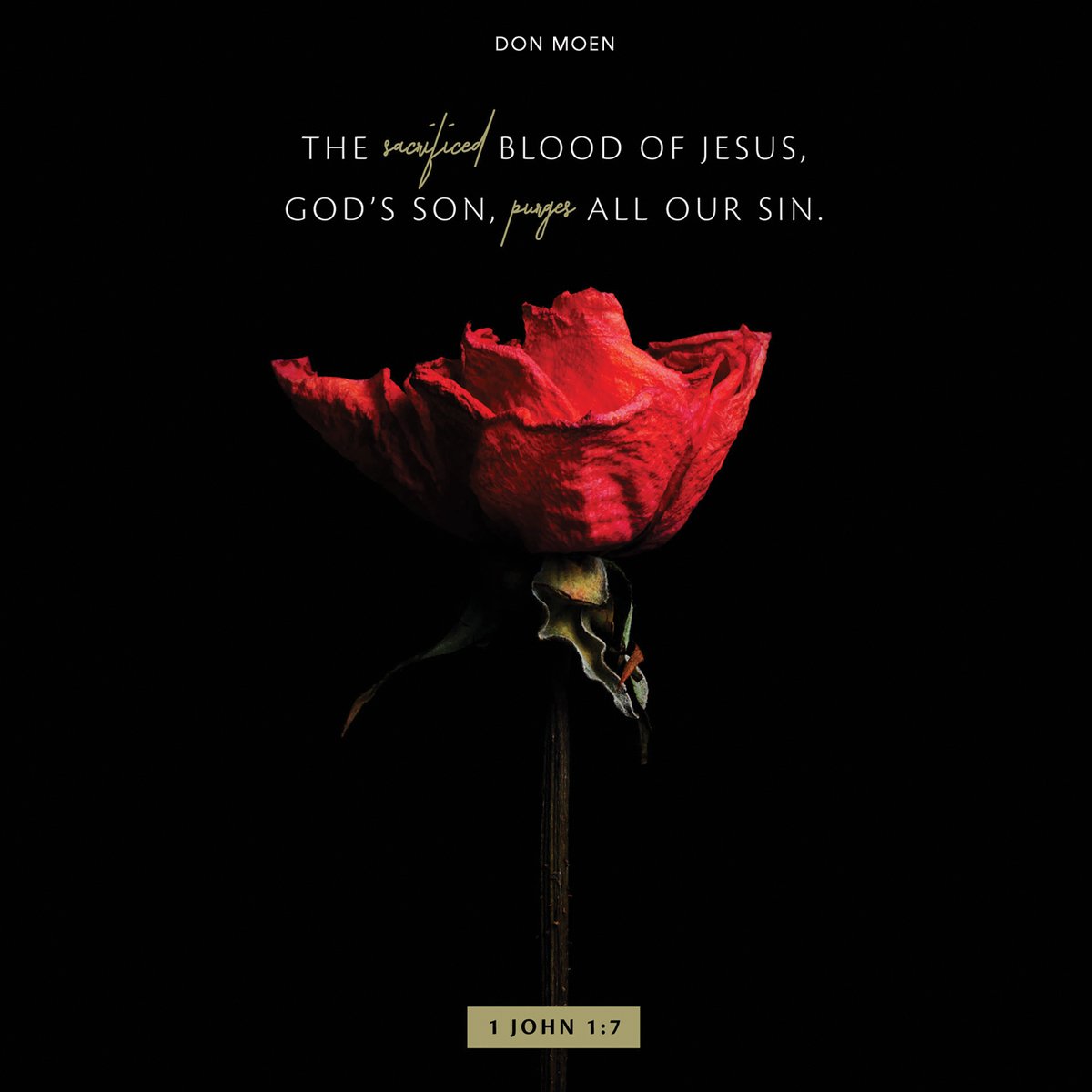 donmoen's tweet image. There’s no amount of sin Jesus’ blood can’t forgive and erase.