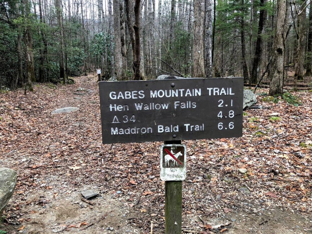 theSMMomblog's tweet photo. Hen Wallow Falls Hike is a great family friendly hike in the Smokies! https://t.co/IkVoO558mY https://t.co/EjGuOvYnHG