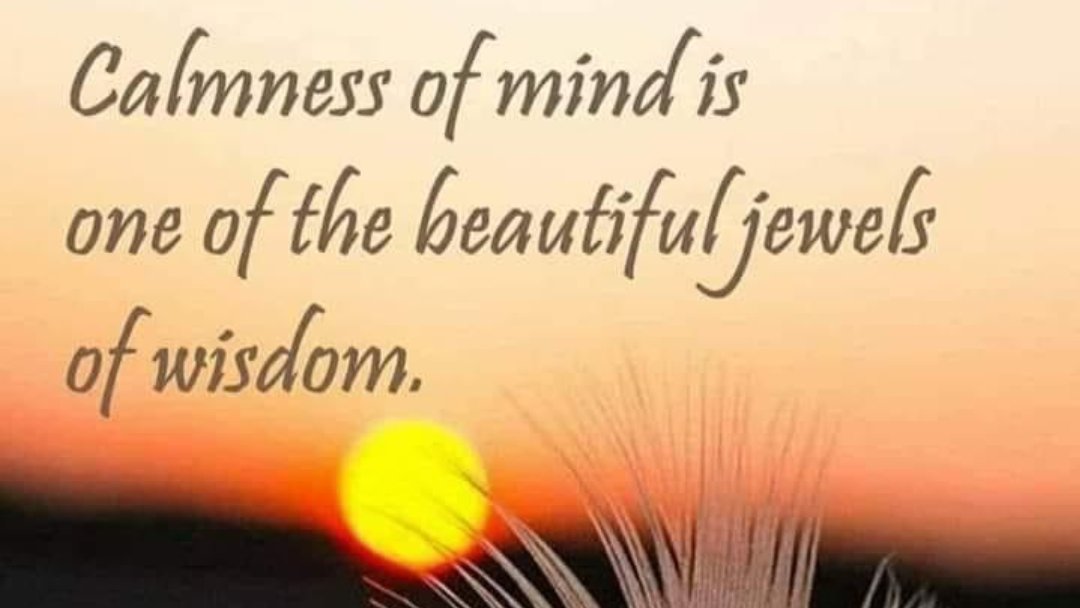 🌻BOITUMELO 🌻2MI🌻 tweet media