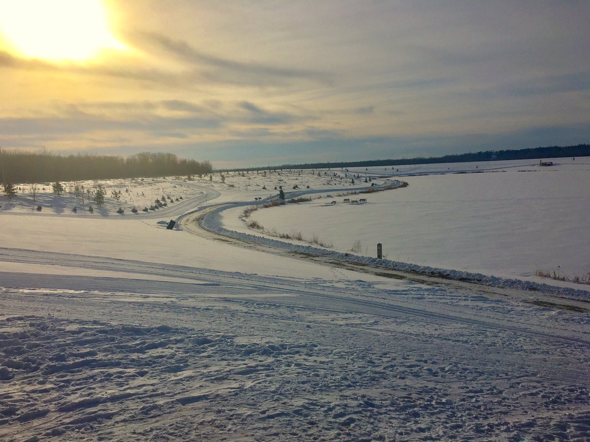 FortSaskLions tweet media