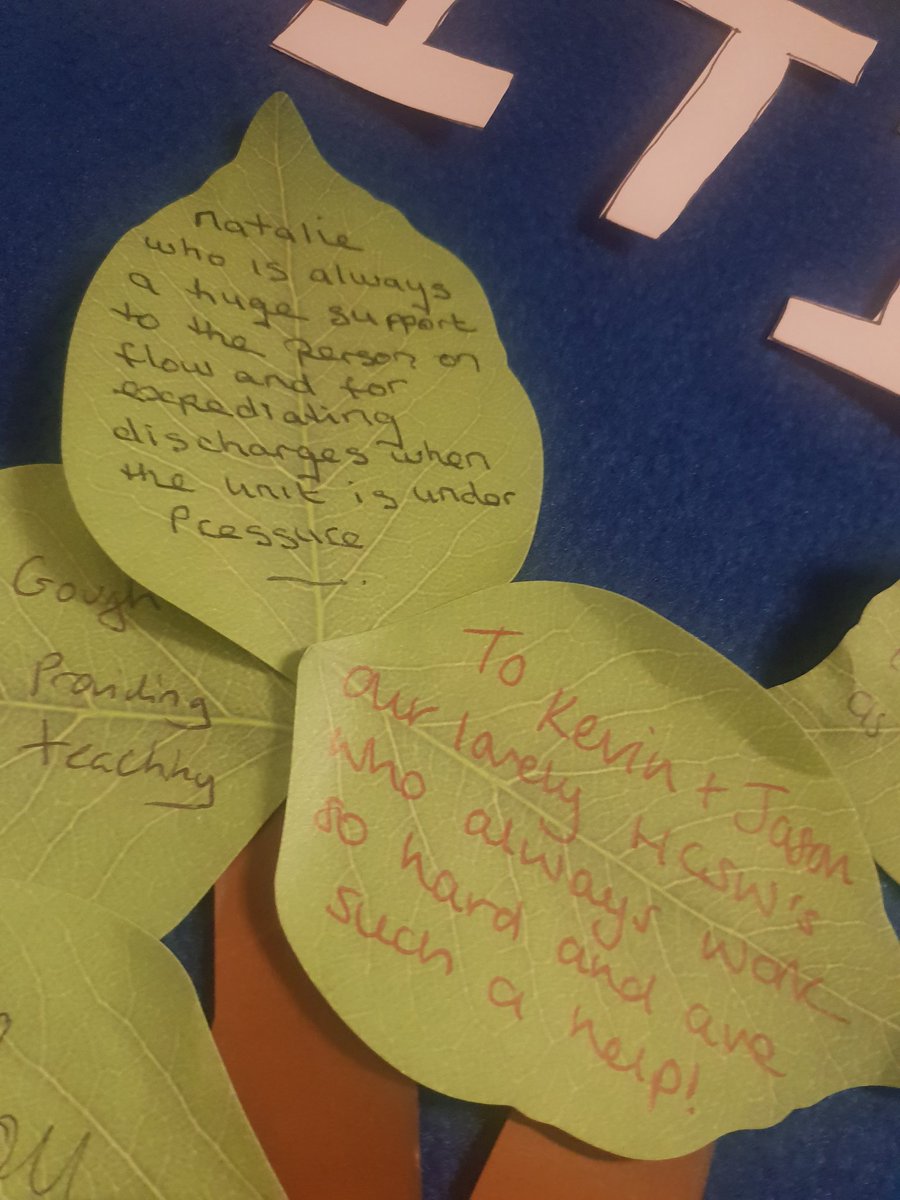 CleverMammy's tweet photo. some lovely new messages filled out on our positivity tree last few days!!! #fabteam #positivitytree @UHWCriticalCare https://t.co/YF5CW0pHue