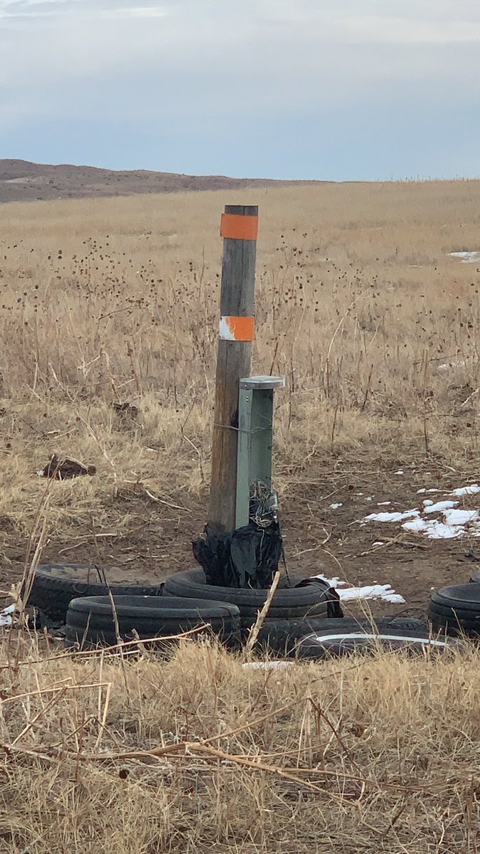 FDGenetics's tweet photo. Only in NE can you call the phone company because all the ranch landlines are out...and the customer service rep goes ‘dumb cows!’ https://t.co/s4MUxDQOIT