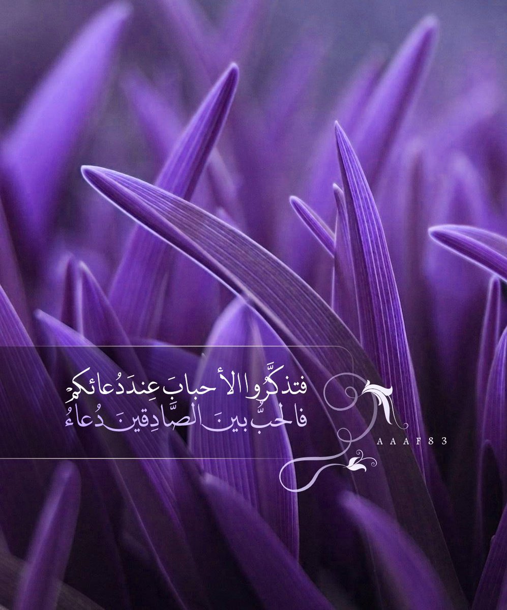 فالحبُّ بيـنَ الصَّادِقيـنَ #دعاء