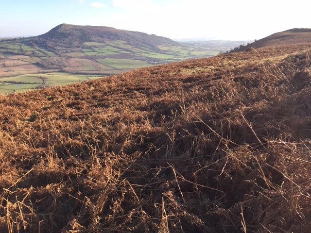 Robert Penn tweet media