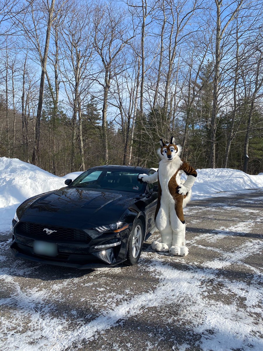 Heading up north to do dog things...