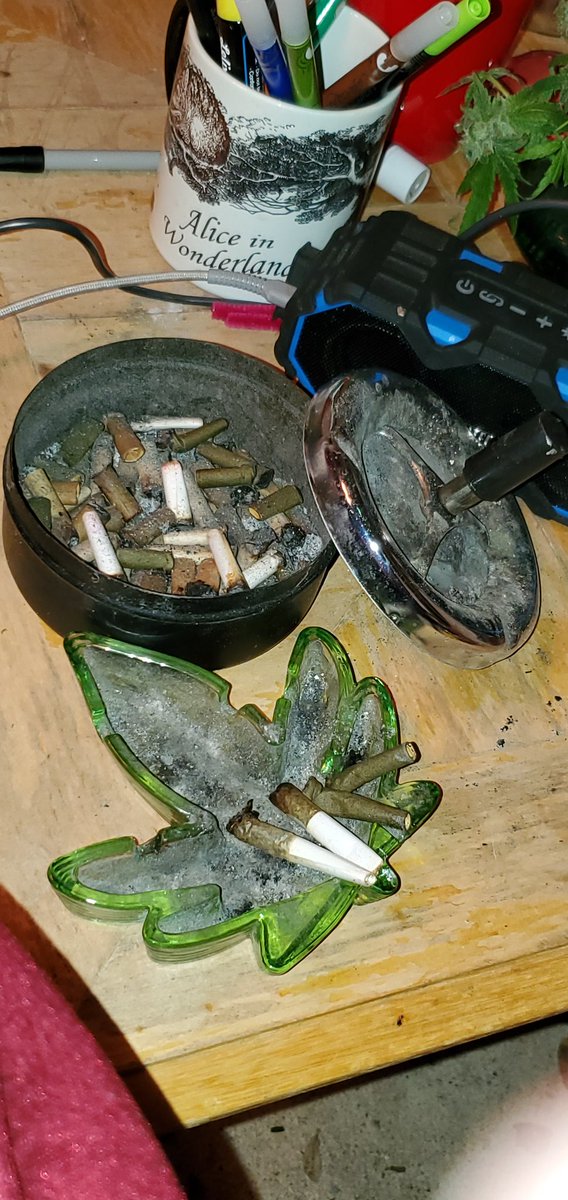 samrulestheworl's tweet photo. @RedBuds @Hippie_of_Love @james_bong13 @LARRYIRBY6 @8675309jc @dan_chronicles @_jena4n @Bklynbby @DollarBlazeClub @hambleton_jeri @HBogarts1 @PMR420 @Dab5_at420 @HoldMyBluntt @RogueOneThree1 @KevinM180 I'm all butts babe🤗Enjoy!🤗🌬🌬
#JamesGirl #rollingBIG #PPP #awesomeSam #RollLikeAGirl #BakedBabe #TokeLikeAGirl #StonerChick #420girl #MadRollingSkills #lit4life #growGirl #SamTastic #GirlCanRoll #IdHitThat #420babe #SamLovesJames #SunNmoon #joints #rollingBIG #homeGrow https://t.co/J3TRLLvliI