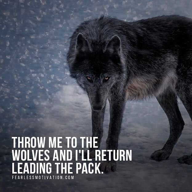‘Throw me to the wolves, and I’ll return leading the pack’ 

#2020mindset #fearlessmindset 
mindsetovereverything.blogspot.com