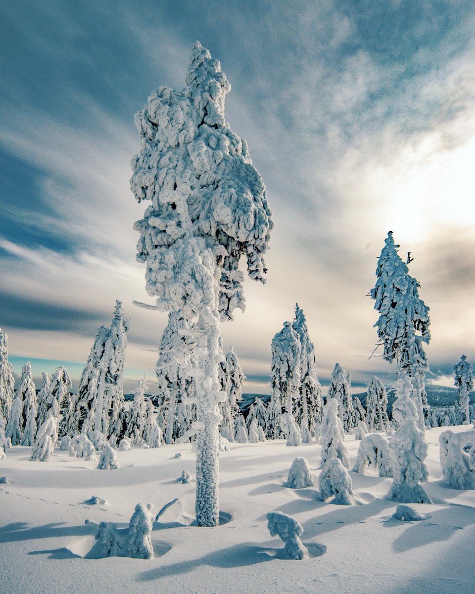 I have never seen such a snow ghost before ... or would you say this is rather a snow lollipop... shot in the ore mountains in Germany   Insta: glacionaut