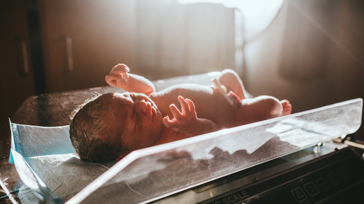 UCalgary's tweet photo. Our experts discuss ways to make the best use of the first 100 days of life to develop a healthy #microbiome https://t.co/ONmxupu54u
#exploreUCalgary 
@UCalgaryMed @ArrietaLab https://t.co/2cOkG0gDR5