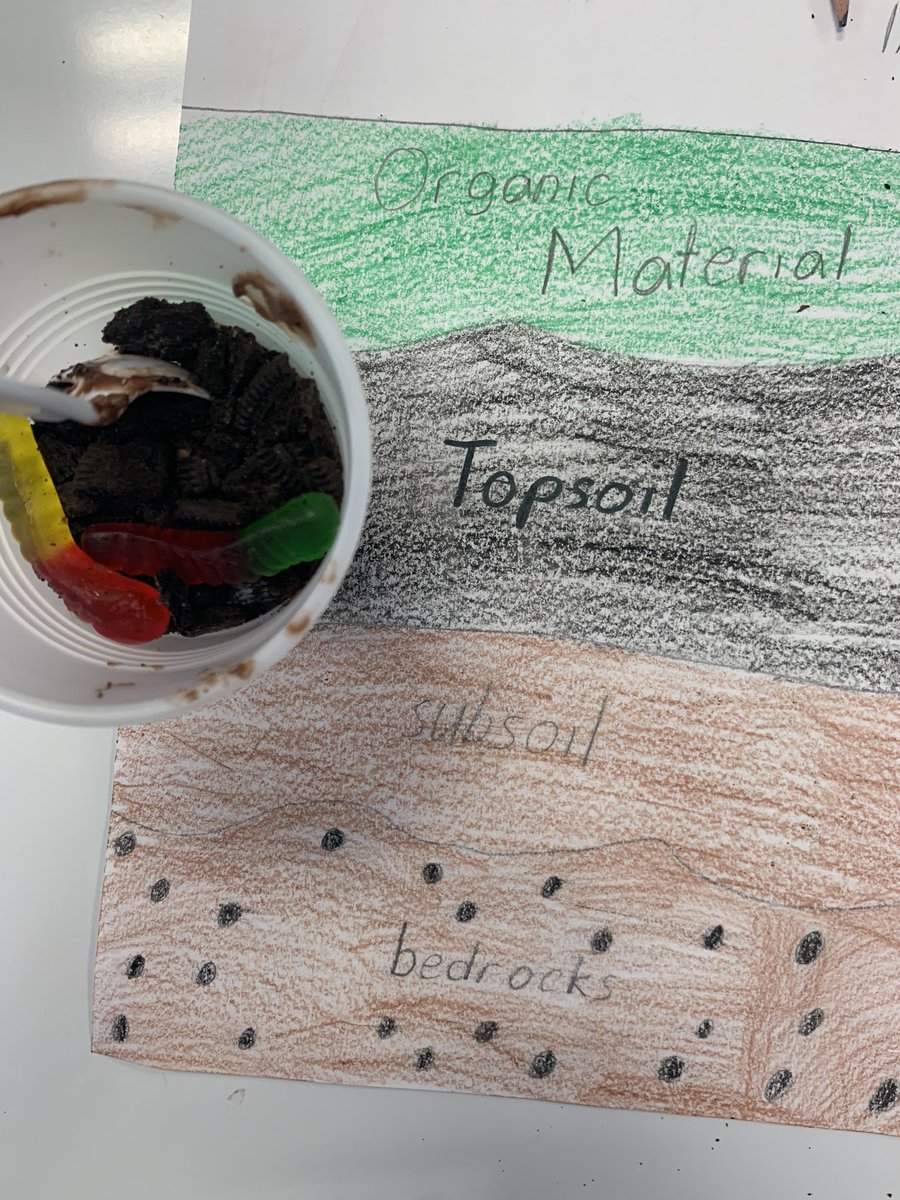 MsStillmansRoom's tweet photo. Parent: “What’d you do in scope with Ms. Stillman today?”
Scientist: “We ate SOIL!”
😂🌱#layersofsoil #ediblescience #scope #enrichment #NHPGCP @teamhillside https://t.co/GzZ8awBuLs