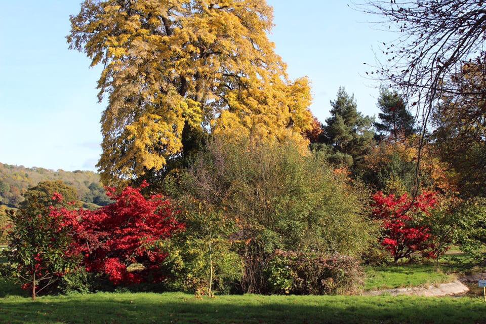 Glanusk Caravan Park tweet media