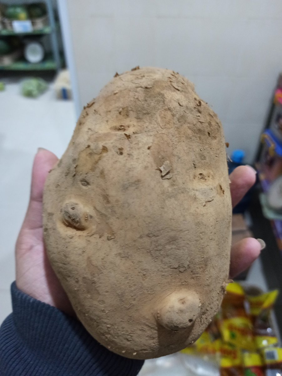 Kentang gede bet berasa kek abis di glonggongin