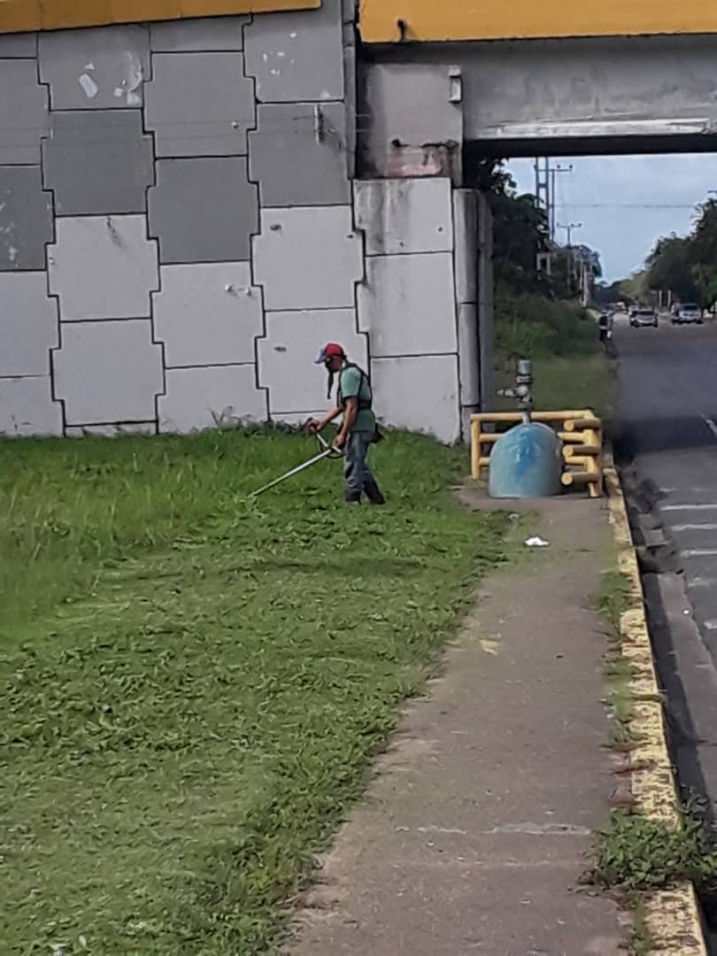 SecretariaInfrM's tweet photo. #Activadas | Labores de embellecimiento y saneamiento de nuestra ciudad, Continuamos desde la la Av. Cruz Peraza de Maturín con las actividades de desmalezamiento.
@NicolasMaduro @yelitzePSUV_
@dcabellor @GobMonagas_ https://t.co/RsmQ2qfGSJ