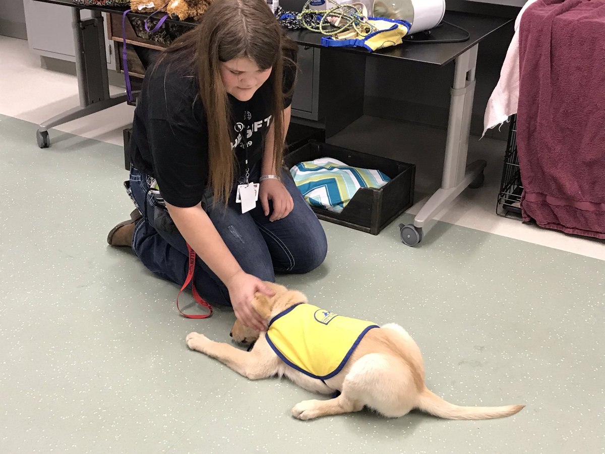 Allen FFA tweet media