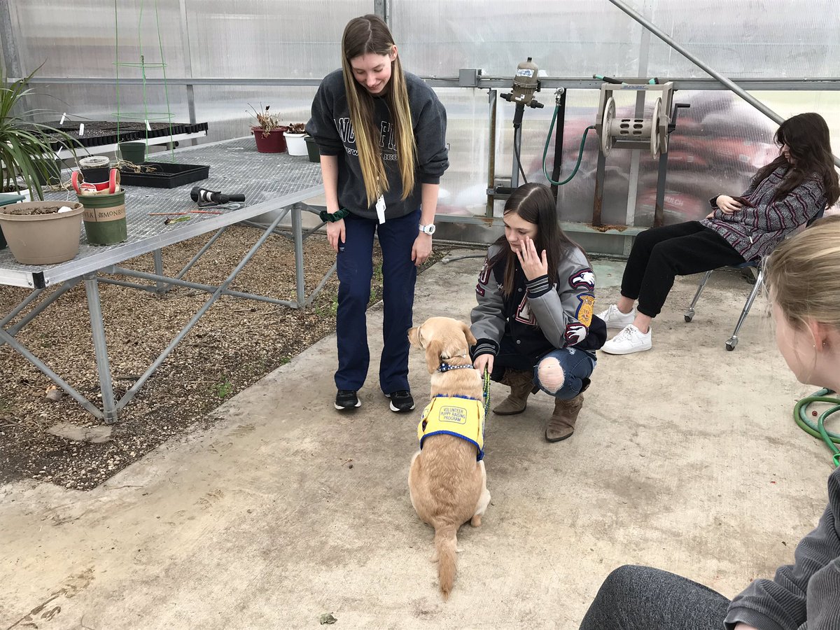 Allen FFA tweet media