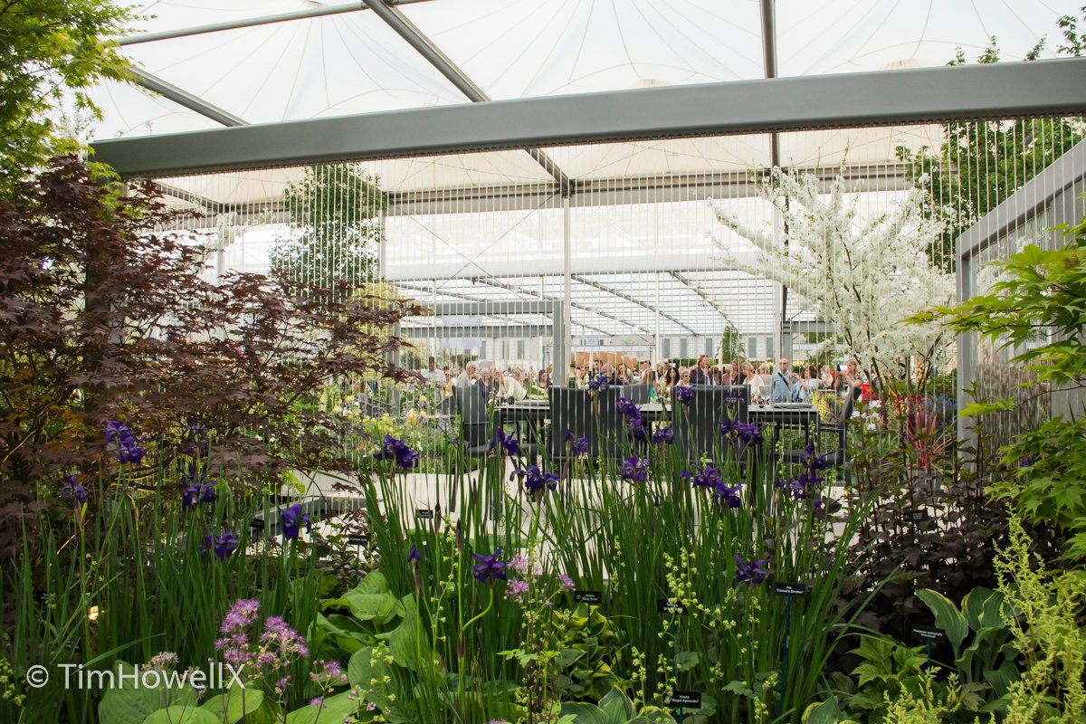 <a href="/HillierTrees/">Hillier Trees</a> <a href="/RHSPressOffice/">RHSPressOffice</a> <a href="/LillyGomm/">Lilly Gomm</a> <a href="/HonestCommsUK/">Honest Communications</a> <a href="/MJTLandscapes/">MJT Landscapes</a> Fantastic news always amazing garden designs from <a href="/LillyGomm/">Lilly Gomm</a>