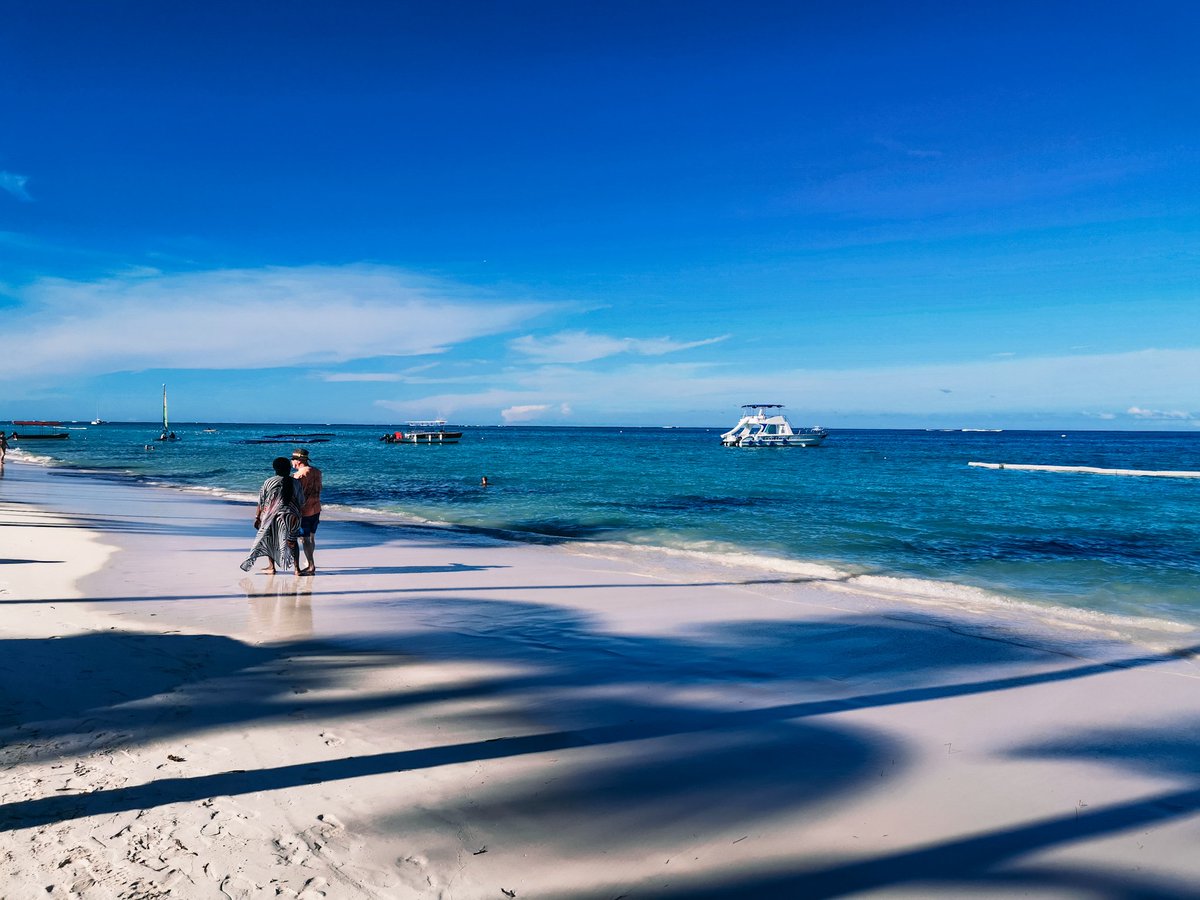 ¡Una playa de arena blanca rodeada de palmeras caribeñas y mar azul turquesa le esperan en #DreamsPalmBeach Punta Cana! ¿Cuándo nos visita? Compártanos su cuenta regresiva en los comentarios.