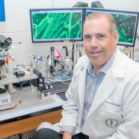 Using a combination of advanced imaging, molecular biology techniques, and both in vivo and in vitro models, <a href="/JeromeBreslin/">Jerome Breslin</a> studies signaling mechanisms that control microvascular permeability and lymphatic vessel function that limit the formation of edema after injury.