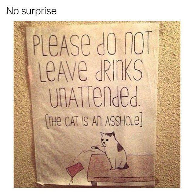 Mal (@rgnmal) on Twitter photo 