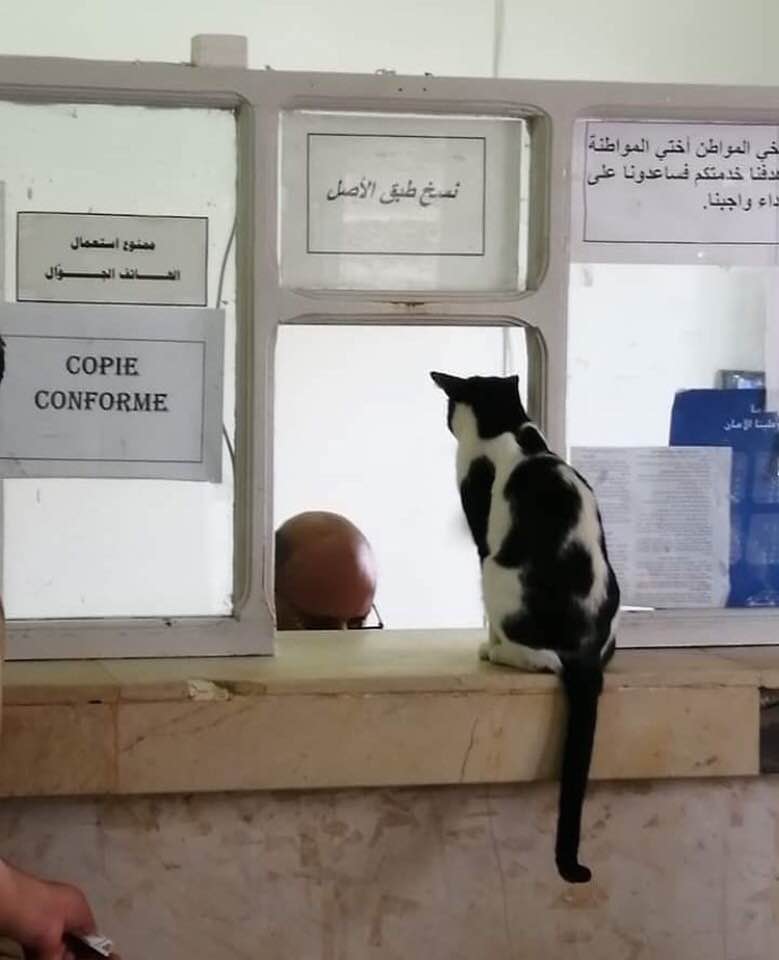 MohamedTyss's tweet photo. 😂😂😂😂 https://t.co/WukZtXMqlw