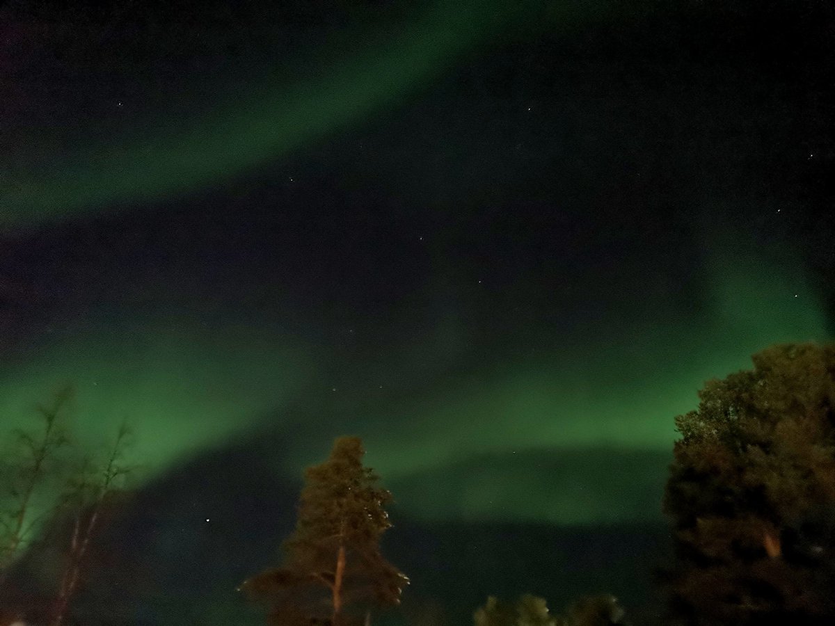 AmySolitudeStar's tweet photo. #NorthernLights #Sweden #homesweethome #sky #AuroraBorealis #norrland #NORRSKEN https://t.co/C81l9IJqhl