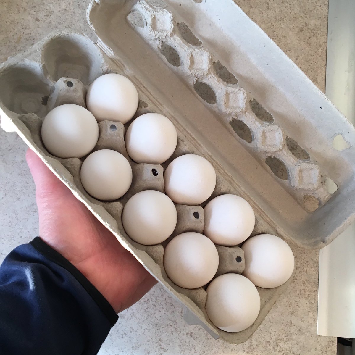 If egg cartons were metric...

#math #MetricSystem #STEM