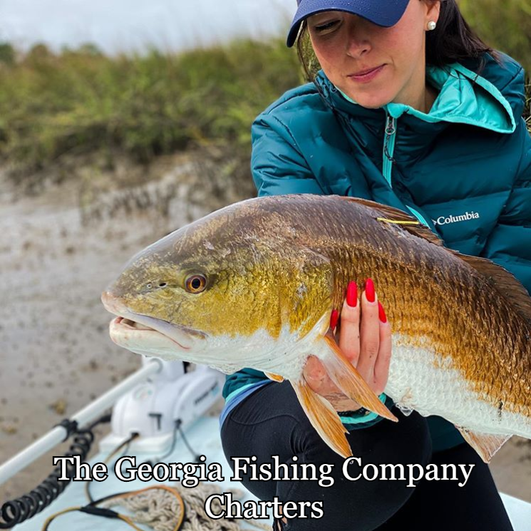 St_SimonsIsland's tweet image. Our fishing guides are local native fishermen that place customer service above all else. Fly or spin tackle, tailing Redfish or Spinner Sharks, we’re ready to make your St. Simon's fishing trip a memorable one ~ 
#SSI #StSimonsIsland ~ Book Now &amp;gt;&amp;gt; ow.ly/HIYY50y13hv
