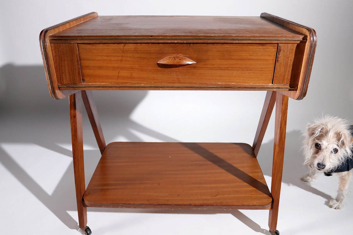 Vintage bijzettafeltje op wieltjes met lade
#teakfurniture #60s #sidetable #forsale #vintagelorry #bohostyle #dogwithholter #dogsoftwitter
More info@dehuiszwaluw.nl
dehuiszwaluw.nl/vintage-design…