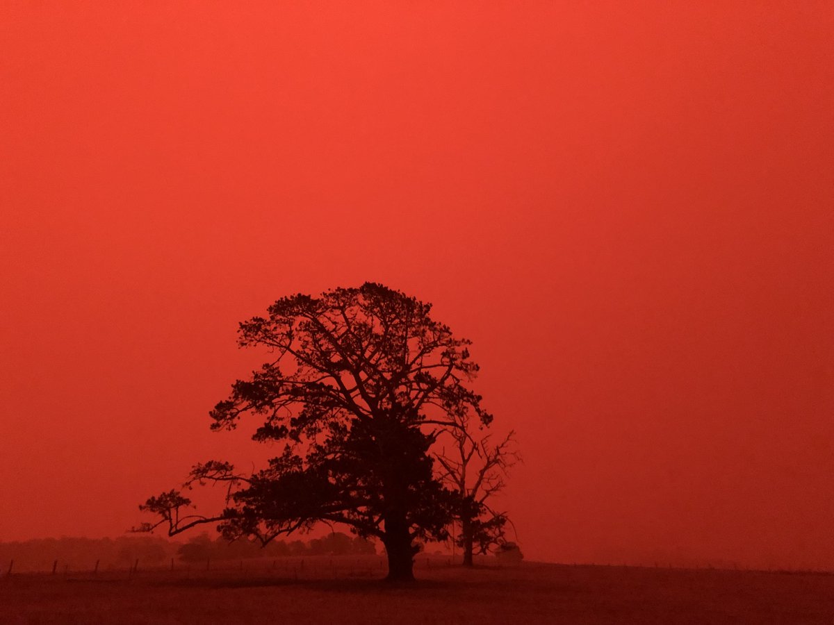 Photo credit: S. Hawker