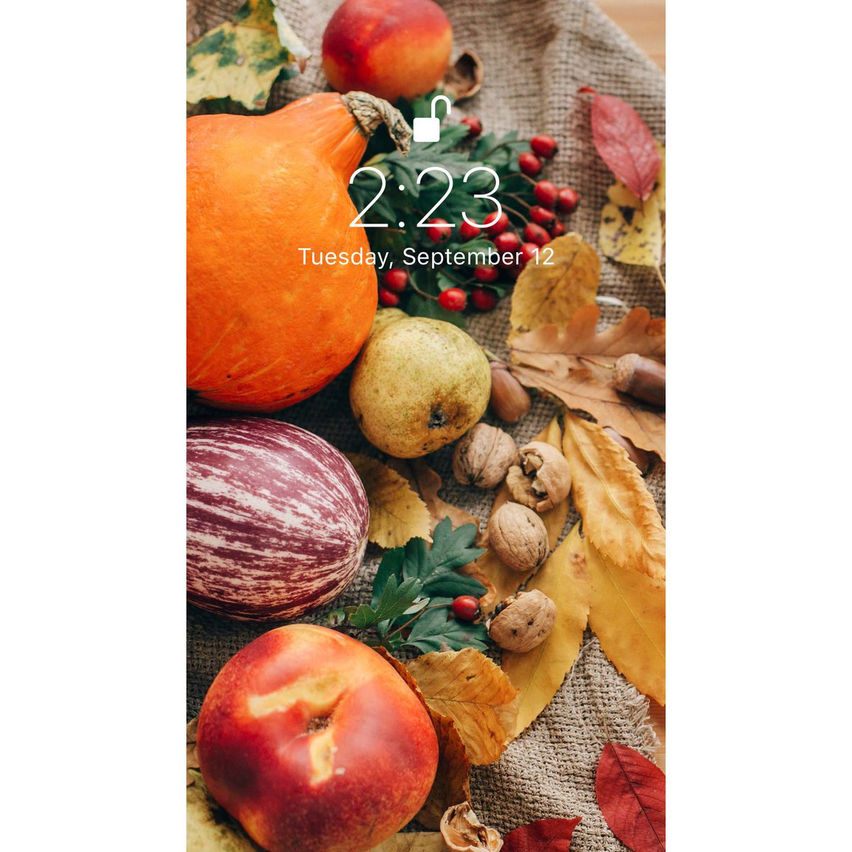 VibeWallpapers's tweet photo. This wallpaper will remind you of the warm autumn🍂
Set
#wallpaper #screensaver #background #sfondi #papeisdeparede #wallpaperhd #wallpaperiphone #tumblr #tumblrwallpapers #fondos #autumn #autumnwallpaper #заставканателефон #обоинателефон #обоинаайфон https://t.co/gTO2gZtU1f