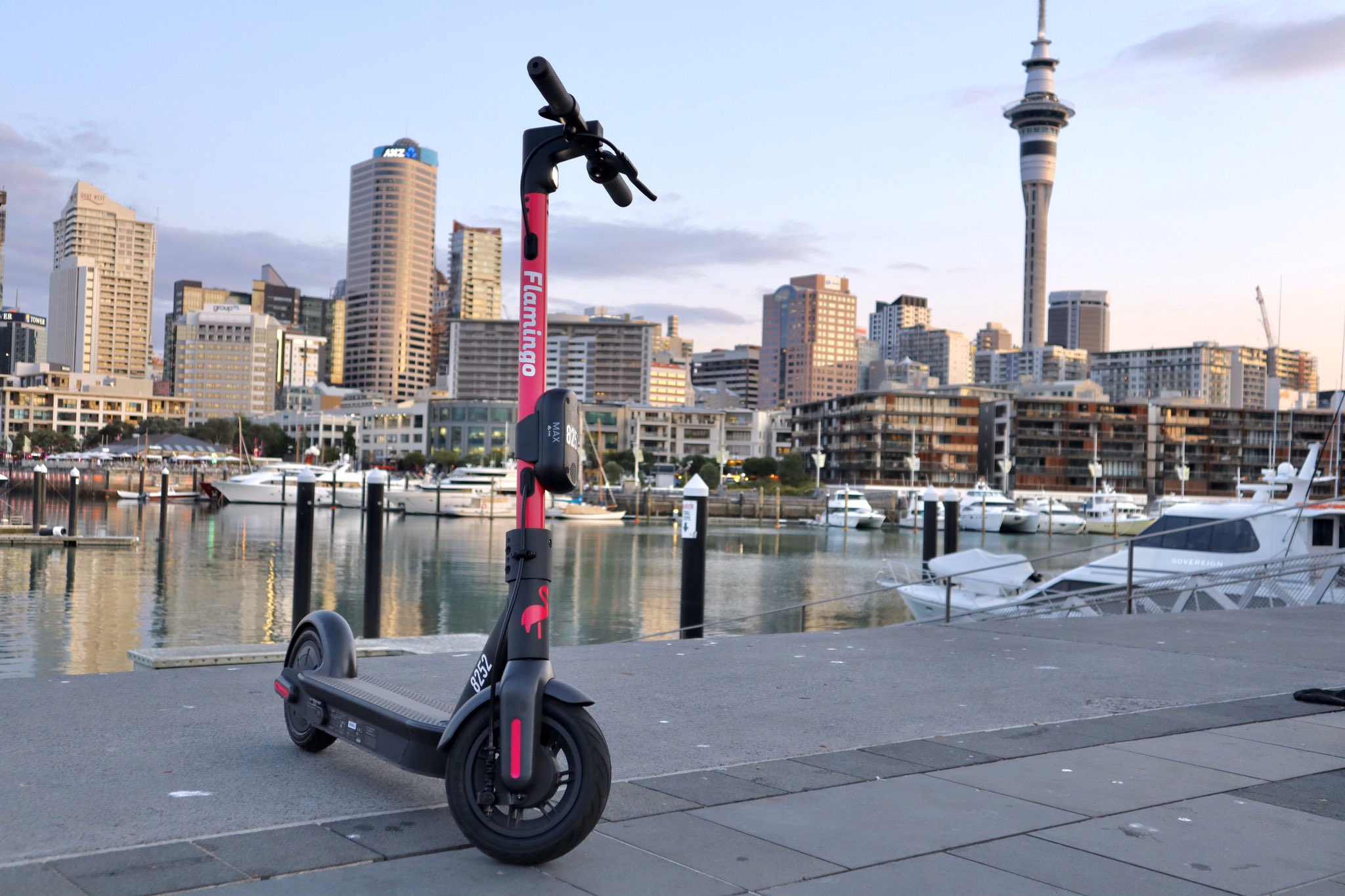 flamingo scooters