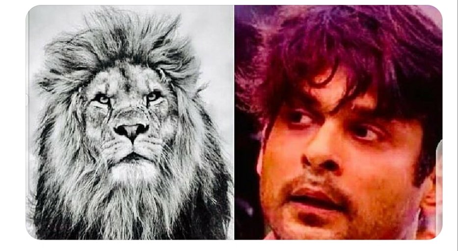 YOGESHY24932814's tweet photo. @RealVinduSingh @sidlianprasha JMD
#IAmWithSidharthShukla #BiggBoss13 #SidNaaz #StopTargettingSid #ChartbusterSid
Do Char logo ne tareef kya kar diya!! #Asim ko lag raha hai show ye chala raha hai!! BiggBoss:- आपसे किसी ने सलाह माँगी है #StopUsingSidForTRP https://t.co/s5I1Otc53A