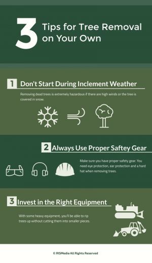 Real Estate Mag tweet media