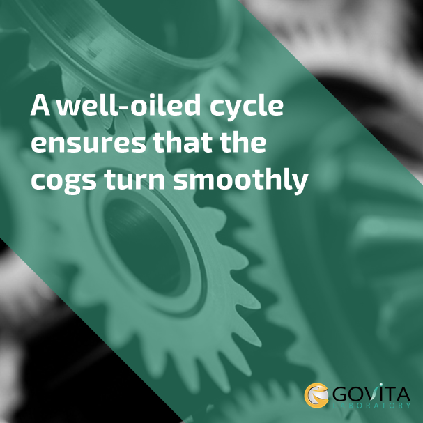 GovitaTech's tweet photo. #govitahk #healthyliving #healthjourney #holisticwellness #holistichealth #preventativehealth #methylation #methylationcycle #healthsupport #science #healthscience #physicalstrength #emotionalstrength #spiritualstrength #antiaging #metabolictesting #GeneticTesting https://t.co/wisU7h9ADJ