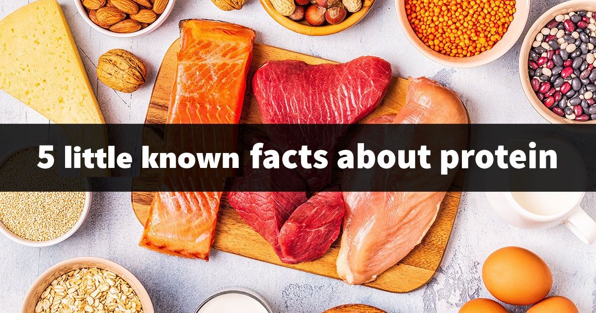 Veg2Paleo's tweet photo. 5 little-known facts about #protein https://t.co/1biUW67V3y https://t.co/Tz7mt2EP1Z