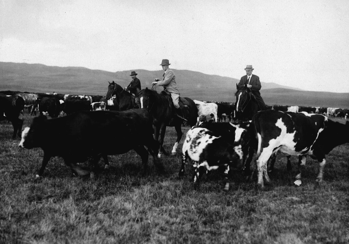 JanetDavisonCBC's tweet photo. And there’s another Prince Edward — the one who was King Edward VIII before his abdication. He was very fond of a ranch he bought in Alberta in 1919 and called himself a Canadian in speeches he made in the West. (8/9) https://t.co/JYSsP6V5kX